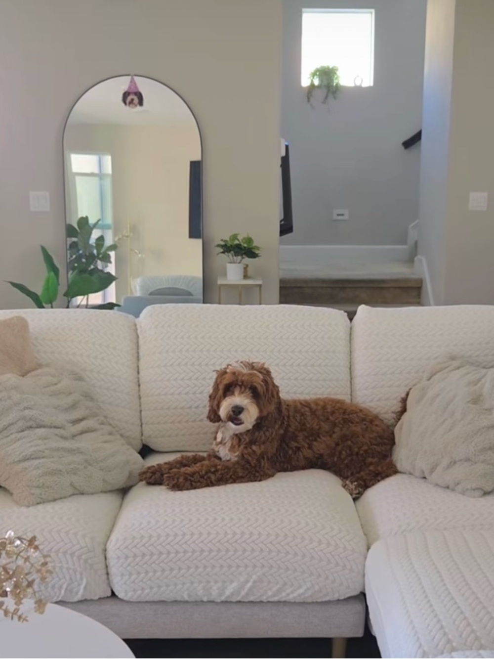 NOLAN INTERIOR “Magic Sofa Seat Cover” Classic Jade White, Pet-Proof Slipcover